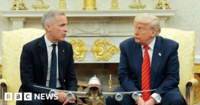 Canada discusses joining US Golden Dome missile defence programme