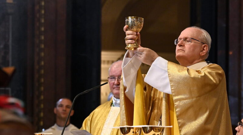 Cardinal Erdo of Hungary Is a Favorite of Conservatives to Become Pope