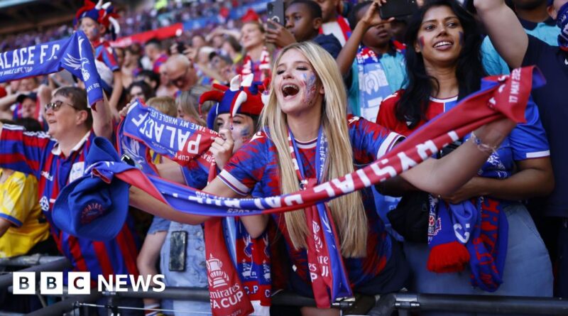 Crystal Palace fans in ecstasy after FA Cup win over Manchester City
