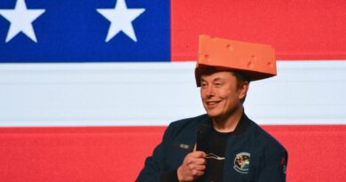 Elon Musk says DOGE is 'a way of life, like Buddhism' and could last until 2029