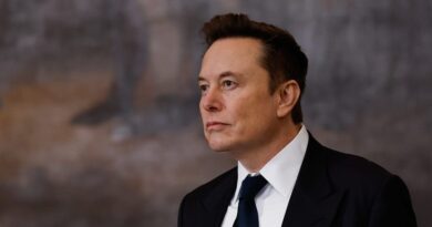 Elon Musk says Tesla robotaxis will be 'geo-fenced' after being asked about BI report