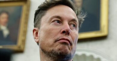 Elon Musk says Trump's spending bill 'undermines' the work of DOGE