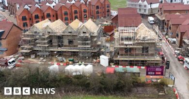 Environmental rules reviewed for small housebuilders