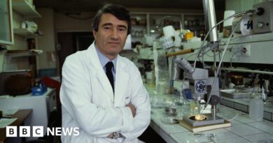Etienne-Emile Baulieu: French scientist behind abortion pill dies aged 98