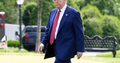 Federal appeals court temporarily reinstates Trump tariffs