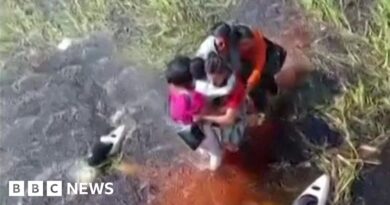Five people survive 36 hours in alligator-infested swamp after plane crash