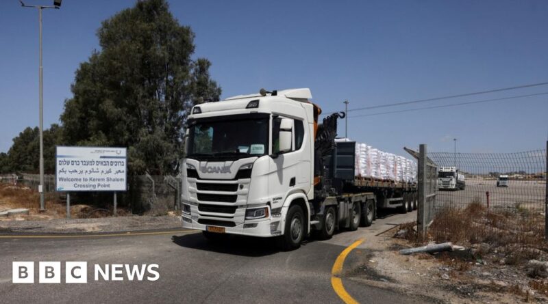 Gaza: Israel allowing in food after pressure from allies, PM says