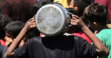 Gaza civil defence says 15 killed in Israeli strikes
