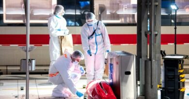 German woman arrested after mass stabbing at Hamburg train station