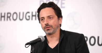 Google cofounder Sergey Brin shares why he's back at the company 'pretty much every day now' to work on AI