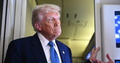 How to sell a corporate merger to Donald Trump: Tell him it's going to Make America Great Again.