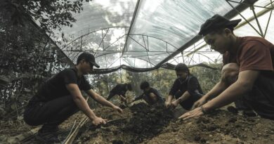 India’s latest coffee hub? Beans and brews offer new hope to Nagaland