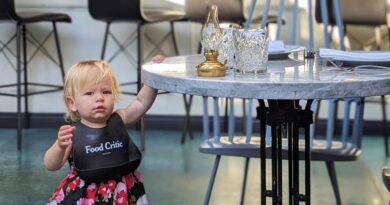 I'm a restaurant reviewer and single mom. I bring my toddler to fancy restaurants to help me review them.