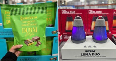 I've worked at Costco for 19 years. Here are 9 of the best things I'm seeing on shelves right now.