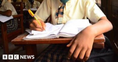 Jamb 2025: Nigeria's exam body admits 'glitch' amid low pass rate