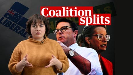 Coalition split: the Nationals are breaking up with the Liberal party after election defeat – video