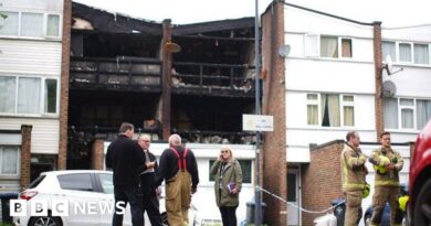 London house fire: Brent murder arrest as mum and children die