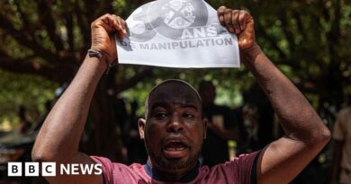 Mali junta dissolves all political parties in latest opposition crackdown
