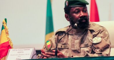 Mali’s military government suspends political parties’ activities