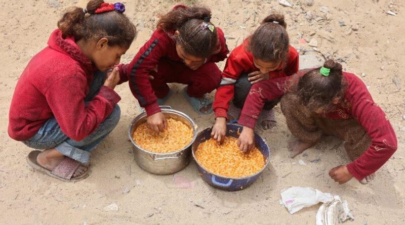 Medical charity condemns Israel's use of hunger as 'weapon of war' in Gaza