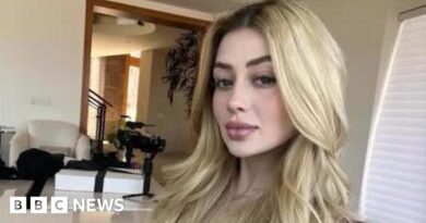 Mexican influencer Valeria Marquez killed on TikTok livestream