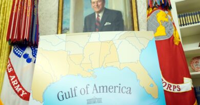 Mexico is suing Google over ‘Gulf of America’ label, Sheinbaum says