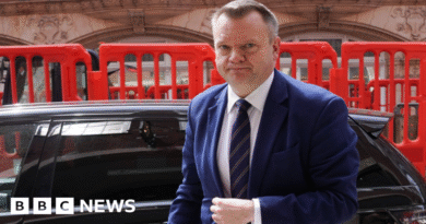 Minister 'pushing' for deal over UK use of EU passport e-gates