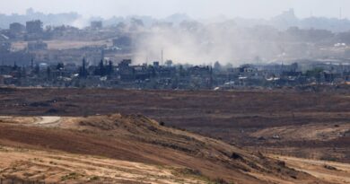 More than 95 percent of Gaza’s agricultural land unusable, UN warns