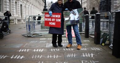 Mother of jailed Egyptian-UK activist returns to full hunger strike