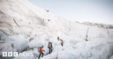 Mount Everest: Nepali sherpa breaks own record with 31st summit