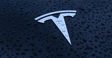 DUBLIN, IRELAND - MAY 16: Tesla logo seen on Tesla vehicle parked in Dublin, on May 16, 2024, in Dublin, Ireland. (Photo by Artur Widak/NurPhoto via Getty Images)