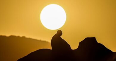 No permit, no hajj: Saudi intensifies crackdown after heat deaths