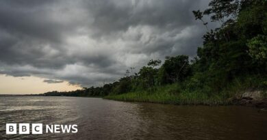 Peru: Two dead after navy ship hits Amazon River oil platform