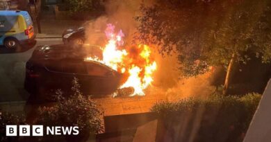 Police given more time to question man over fires at homes linked to PM