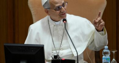 Pope Leo identifies AI as main challenge in first meeting with cardinals