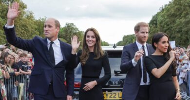 Prince Harry said he wants 'reconciliation' with the royal family. Here's a timeline of his and Meghan Markle's tumultuous relationship with the royals.