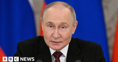 Putin's talks offer could be bid to drive wedge between US and Europe