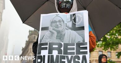 Rumeysa Ozturk: Turkish Tufts University student released on bail