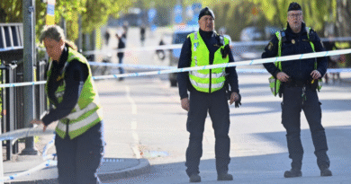 Six people arrested over triple murder in Sweden