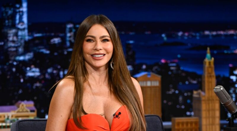 Sofia Vergara said dating someone with less money than her would be a 'nightmare.' We asked 3 therapists what they think.