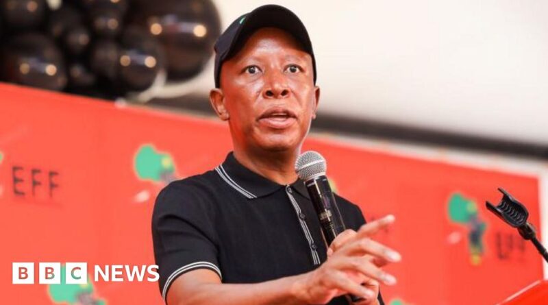 South Africa's Julius Malema hits out after not getting UK visa