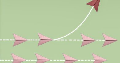 venture capital, VCs, triage, startups