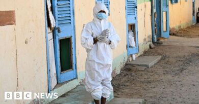Sudan war: Country 'on brink' of health disaster as cholera spreads