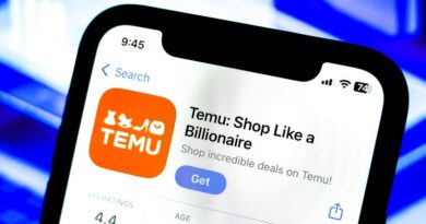 Temu's owner saw a nearly 40% profit slump, thanks in part to Trump's tariffs