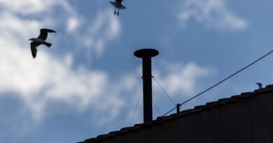 The Papal 'conclave cam' is slow TV | TechCrunch
