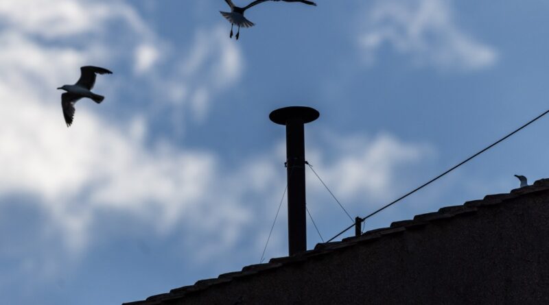 The Papal 'conclave cam' is slow TV | TechCrunch