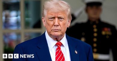 Trump administration considering suspending habeas corpus