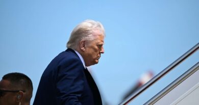 Trump says would be 'stupid' to reject Qatari Air Force One gift
