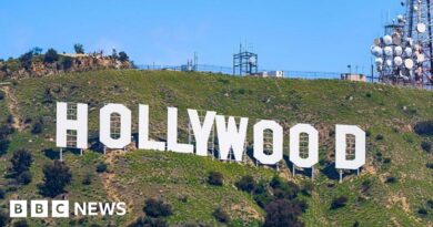 Trump tariffs: US president says non-US movies to be hit with 100% levies