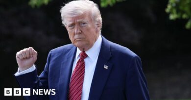 Trump tariffs to stay in place as legal battle erupts